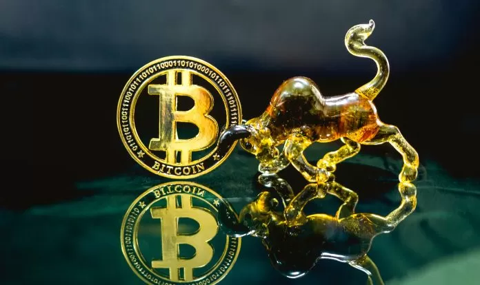 Son Zamanlarda Şirketlerin Milyarlarca Dolarlık Bitcoin Satın Alması Ne Anlama Geliyor?