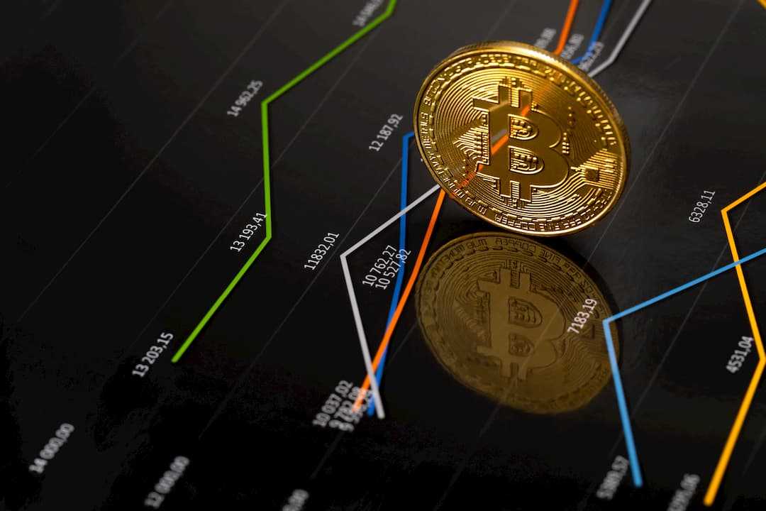 Balinalar Bitcoin Biriktiriyor! Peki Bu Ne Anlama Geliyor?