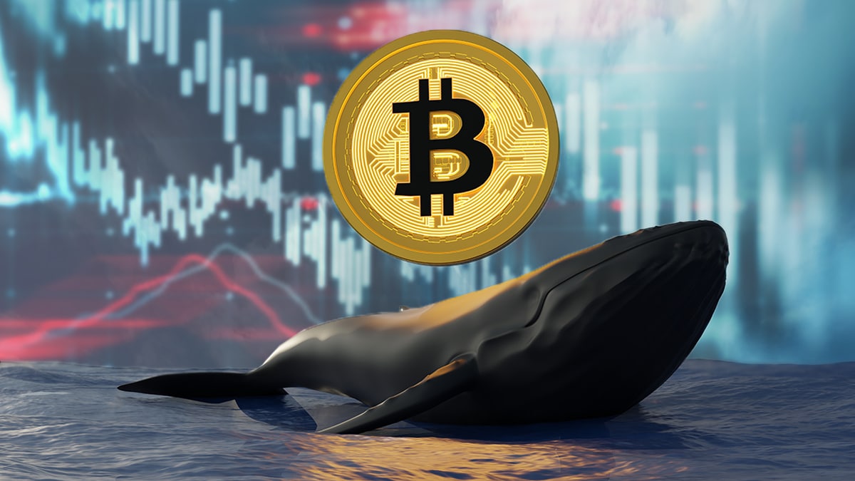 Bitcoin balinaları uyandı: BTC on-chain verilerin işaret ettikleri