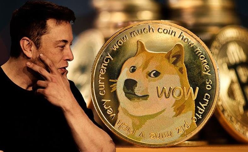 Analistten Dogecoin Ve Musk Yorumu