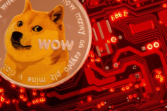 Musk ve Twitter, Dogecoin'e destek veriyor