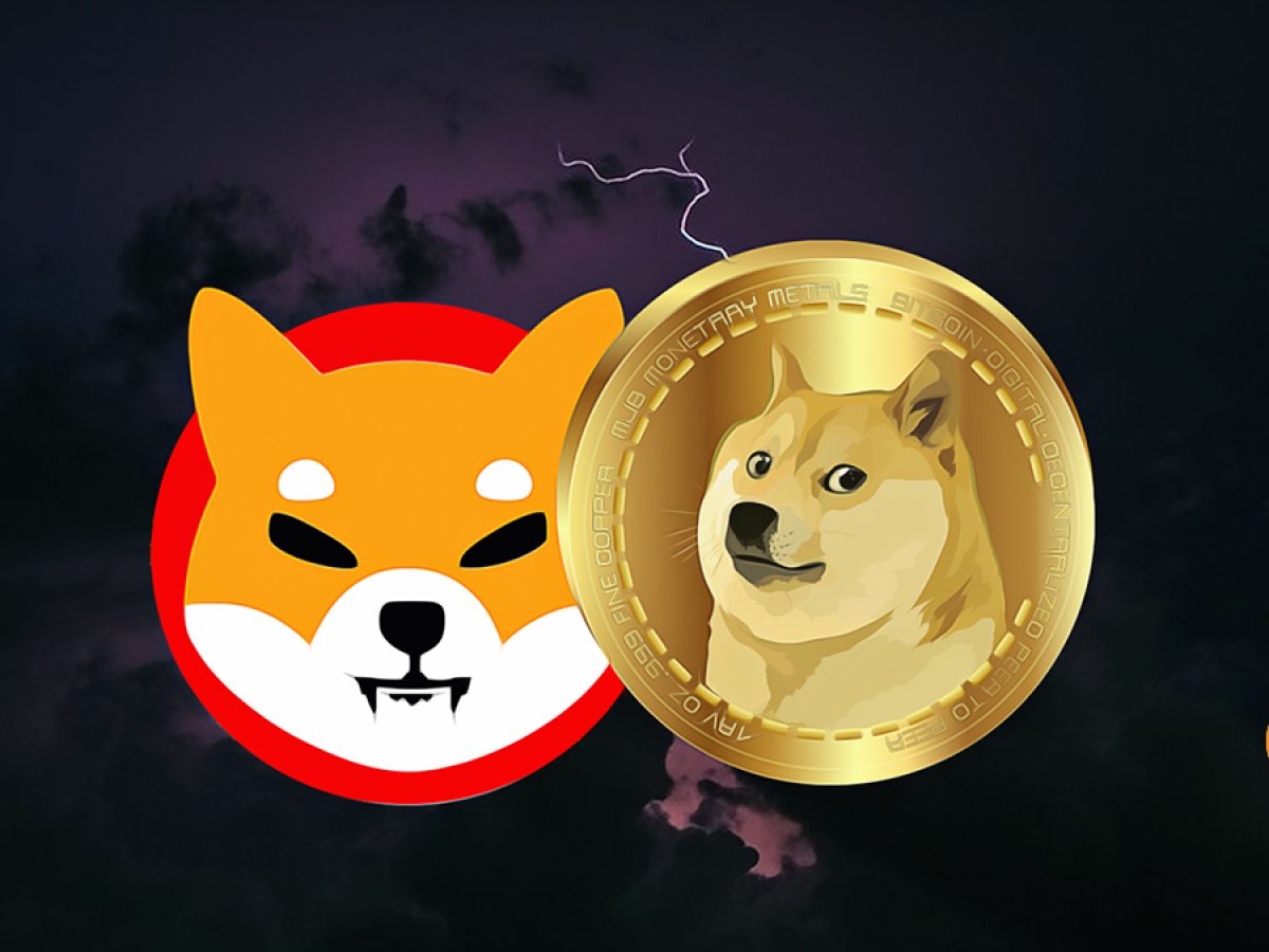 4 Uzman Bloomberg’e Konuştu: DOGE ve SHIB’de Sırada Bunlar Var!