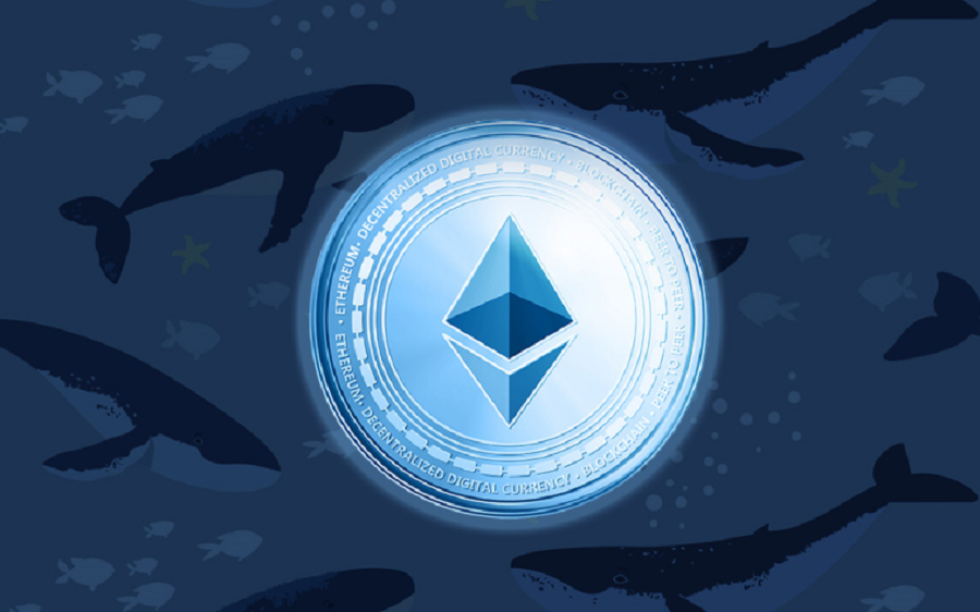 Balinalar Ethereum’da 40.000.000.000 Dolar Biriktirerek 7 Yıllık Rekoru Kırdı