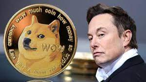 Elon Musk, Dogecoin Yatırımcıları Tarafından Dava Edildi