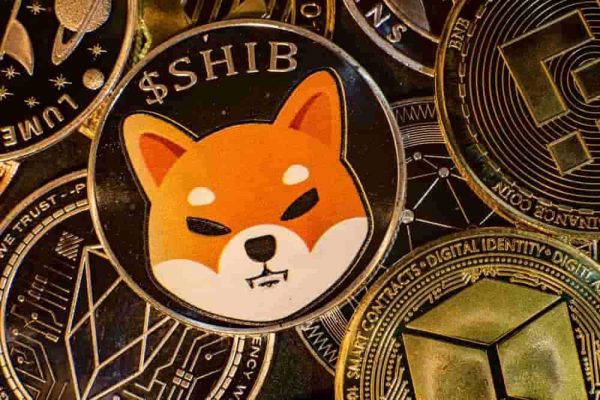 Shiba Inu, şahlanan Dogecoin’in izinden gidecek mi?